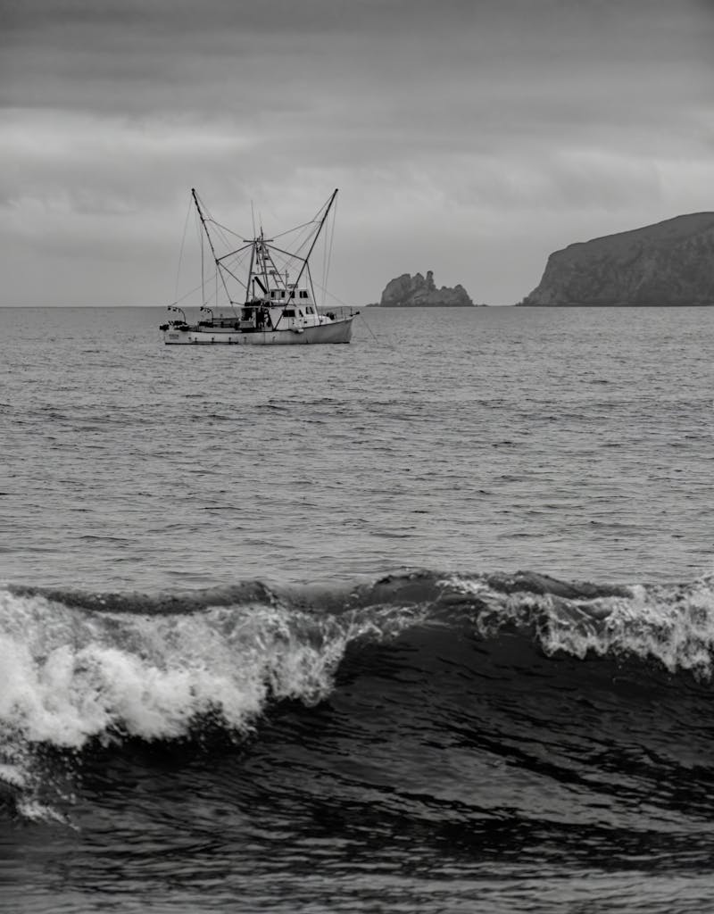 A serene fishing boat navigates the ocean under a cloudy sky, capturing nature's essence.