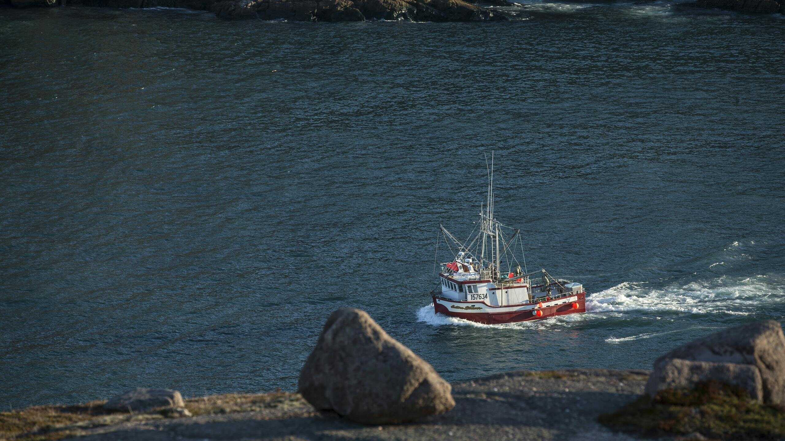 A fishing boat sails along a rocky coastline with clear waters, showcasing a tranquil seascape.